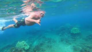 Kahekili Beach Park Snorkeling [upl. by Lilla]