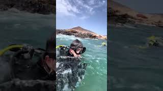 ⚠️😳 playa buceo peces canarias snorkeling viajes peligro animales [upl. by Evilo]