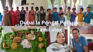 துபாய்ல பொங்கல் விருந்து  dubai pongal potluck tamilvlog dubaivlog tamil tamilvlog celebration [upl. by Ahtar]