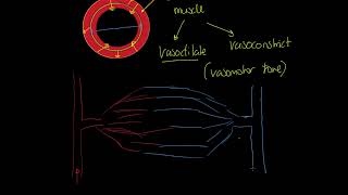 OCR Alevel PE Vasomotor Control and Vascular Shunt [upl. by Forrester]