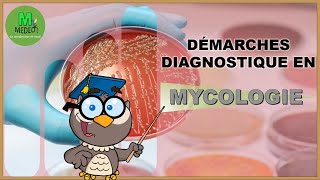 DEMARCHE DIAGNOSTIQUE EN MYCOLOGIE cours de parasitologie médicale [upl. by Emanuela733]