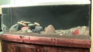 How to Clean Sand and Set Up an Aquarium [upl. by Airemat729]