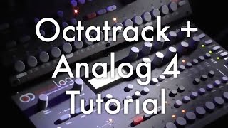 Octatrack  Analog 4 tutorial How to make them work together [upl. by Wylde]