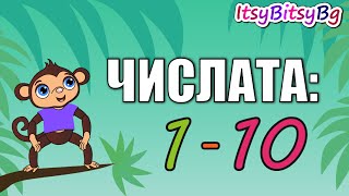 ЧИСЛАТА от 1 до 10 Образователно видео [upl. by Ecilegna]