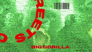 Ing Div  BIG GORILLA Official Audio [upl. by Issi]