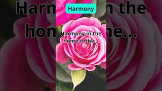 Harmony quotes phrases motivacional [upl. by Rigdon]