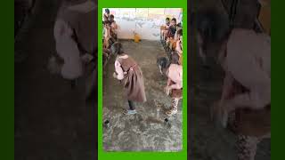 class Activity with little students Basic primary vibhag  कक्षा में गतिविधि स्कूल के बच्चो के साथ। [upl. by Trevar48]