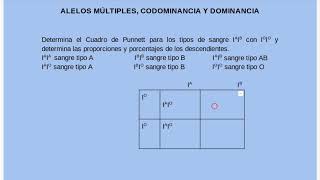 Alelos Múltiples Codominancia Dominancia [upl. by Llecrad]