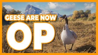 Goose Hunting on Hirschfelden after the Rancho Del Arroyo update Level your Weapons FAST [upl. by Allayne]