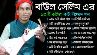 বাচাইকৃত ১৫ টি কলিজা কাটা বিচ্ছেদ  BCH TV  Bicched Song  Baul Selim [upl. by Dorina355]