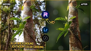 Blur Image Background  Mobile Photo Editing Tutorial  Lightroom Color Grading  PhotoRoom Editing [upl. by Rebel944]