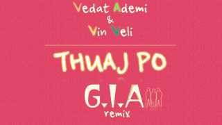 Vedat Ademi amp Vin Veli  THUAJ PO GIA Remix [upl. by Emersen]