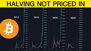 Here’s Why the Bitcoin Halving Is NOT Priced In [upl. by Rintoul167]