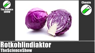 Rotkohlindikator  Cyanidin aus Rotkohl  ChemieExperiement  TheScienceShow [upl. by Astra]