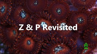 Lets talk Corals Zoanthids amp Palythoas Revisited [upl. by Airdnazxela]