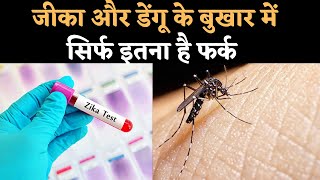 Zika Virus Vs Dengue Symptoms कही आप भी डेंगू और जीका वायरस को लेकर कंफ्यूज तो नहीं ऐसे समझें फर्क [upl. by Yrrah]