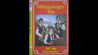 Mittagskogel Trio  02 Junggesellenpolka [upl. by Atinnek295]