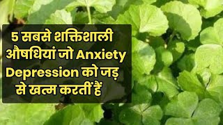 ये 5 जड़ी बूटियां 🍀 जो Anxiety depression को जड़ से खत्म करतीं हैं ghabrahat bechaini ki dawa [upl. by Atwater854]