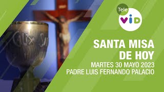 Misa de hoy ⛪ Martes 30 de Mayo 2023 Padre Luis Fernando Palacio  Tele VID [upl. by Malinowski]