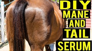 DIY Mane And Tail Growth Oil Recipe To Help Your Horse Have A Beautiful Tail [upl. by Ibrek]