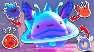 TODAS las COMBINACIONES del SLIME DERVICHE en SLIME RANCHER 2 [upl. by Ube92]