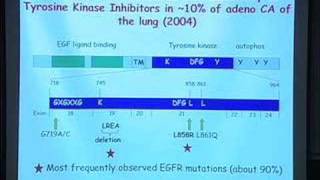 Cancer Biology and Cancer Medicine [upl. by Ahsinauq]