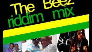 THE BEEZ RIDDIM MIX dec 2009 [upl. by Atenek700]