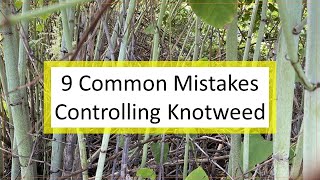 9 Common Mistakes To Avoid in Trying to Control Invasive Knotweed [upl. by Levania]