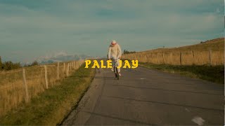 Pale JayBewilderment OFFICIAL MUSIC VIDEO [upl. by Ayikur143]