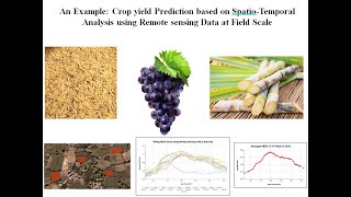 An Example Crop yield Prediction based on SpatioTemporal Analysis using Remote sensing Data amp GEE [upl. by Oiuqise]