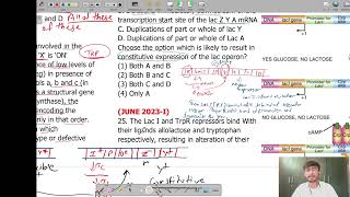 🔥Prokaryotic Gene Regulation and Operons  Solved PYQs Part 8 by Dipesh Sir  Molecular Biology 🔥 [upl. by Enellek]