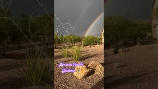 🌈WOW Intense MONSOON gave us a beautiful double RAINBOW 🌈 shorts doublerainbow nature [upl. by Lilaj]