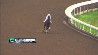 BREEDERS CUP WORKOUT Beholder 102615 [upl. by Ellenrad277]