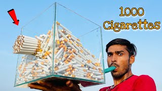 Smoking 1000 Cigarettes 🚬 At Once From Clean Glass Box  अब फेंफड़े कितने खराब होंगे 🤢 [upl. by Odnalro491]