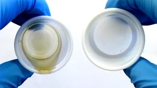 Superhydrophobic coatings with beeswax and carnauba wax [upl. by Gati]