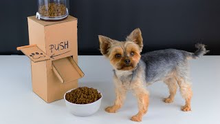 DIY Puppy Dog Food Dispenser from Cardboard at Home [upl. by Tinor]