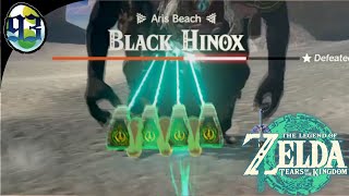 Zelda TOTK 93 Black Hinox Fun [upl. by Bartlet198]