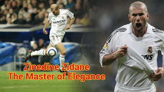 Zinedine Zidane Elegance Magisterial Skills HD [upl. by Oilisab150]