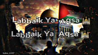 Labbaik Ya Aqsa 🕌 Masjid e Aqsa ki khabar le  New Kalam baba1137viralpalestinemasjideaqsa [upl. by Tegirb60]