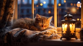 Rainy Day Relaxation Calming Music for Cats with Rain Sound and Cat Purring  Sleepy Cat [upl. by Yerot]