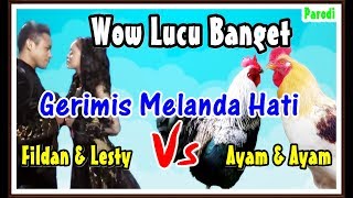 Ayam Duet Menyanyi Gerimis Melanda Hati  Wow Mereka Bagaikan Fildan Feat Lesty [upl. by Callas]