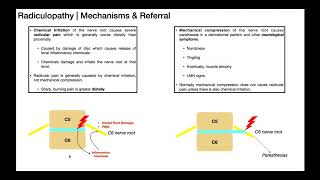 Radicular Pain Versus Radiculopathies EXPLAINED [upl. by Ikeda763]