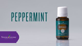 Peppermint Essential Oil Benefits amp Uses  Young Living Essential Oils [upl. by Riffle266]