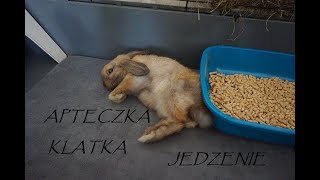 KRÓLIK MINI LOP  KLATKAŻYWIENIEAPTECZKA CO WARTO WIEDZIEĆ 🐰🐇 [upl. by Leffen]