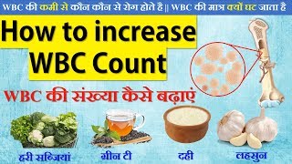 How to increase wbc count in hindi  WBC की संख्या कैसे बढ़ाएं  WBC kaise kam kareHD [upl. by Edris686]