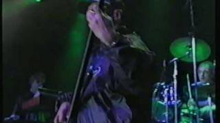 Falco Ganz Wien live in Wiesen 1996 mit Drahdiwaberl [upl. by Imoin]