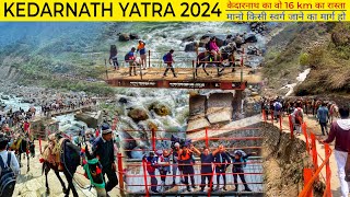 स्वर्ग का रास्ता महादेव की नगरी केदारनाथ यात्रा 2024 । Kedarnath Yatra 2024  Gaurikund To Kedarnath [upl. by Ahseal]