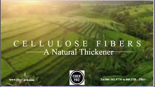 Fusion a Natural Cellulose Thickener [upl. by Iel]