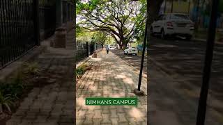 NIMHANS campus  NIMHANS BANGALORE  dailyvlog bangalore viral bangalorevlogs bangaloredays [upl. by Ainat865]