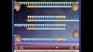 Polymerase Chain Reactionmp4 [upl. by Ydnir]